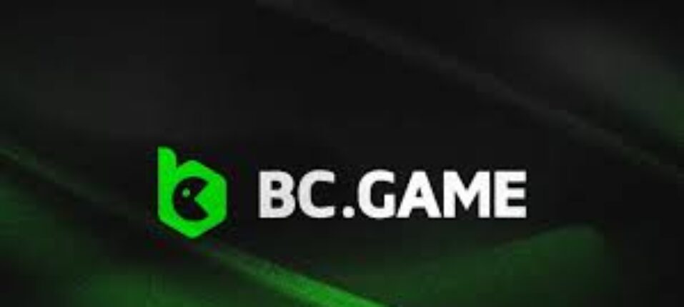 Understanding BC.Game Deposits A Guide for New Players