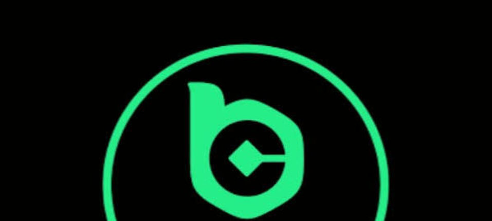 Experience Gaming Anywhere Download the BC.Game Mobile App 957575427